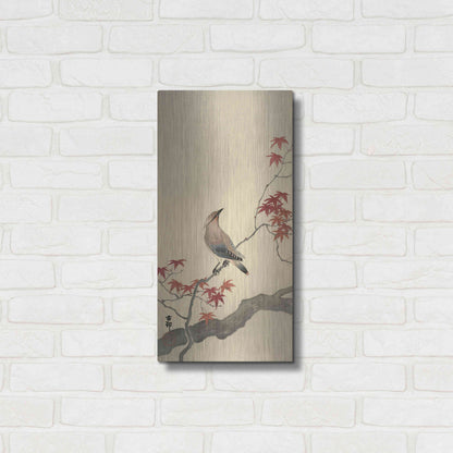 Luxe Metal Art 'Japanese Waxwing on Maple 1900-1936' by Ohara Koson, Metal Wall Art,12x24