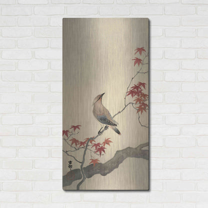 Luxe Metal Art 'Japanese Waxwing on Maple 1900-1936' by Ohara Koson, Metal Wall Art,24x48