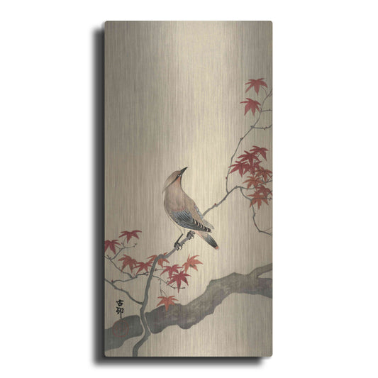 Luxe Metal Art 'Japanese Waxwing on Maple 1900-1936' by Ohara Koson, Metal Wall Art