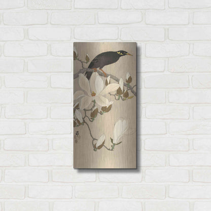 Luxe Metal Art 'Myna on Magnolia Branch 1900-1910' by Ohara Koson, Metal Wall Art,12x24