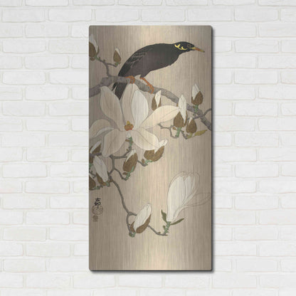 Luxe Metal Art 'Myna on Magnolia Branch 1900-1910' by Ohara Koson, Metal Wall Art,24x48