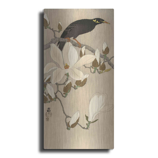 Luxe Metal Art 'Myna on Magnolia Branch 1900-1910' by Ohara Koson, Metal Wall Art