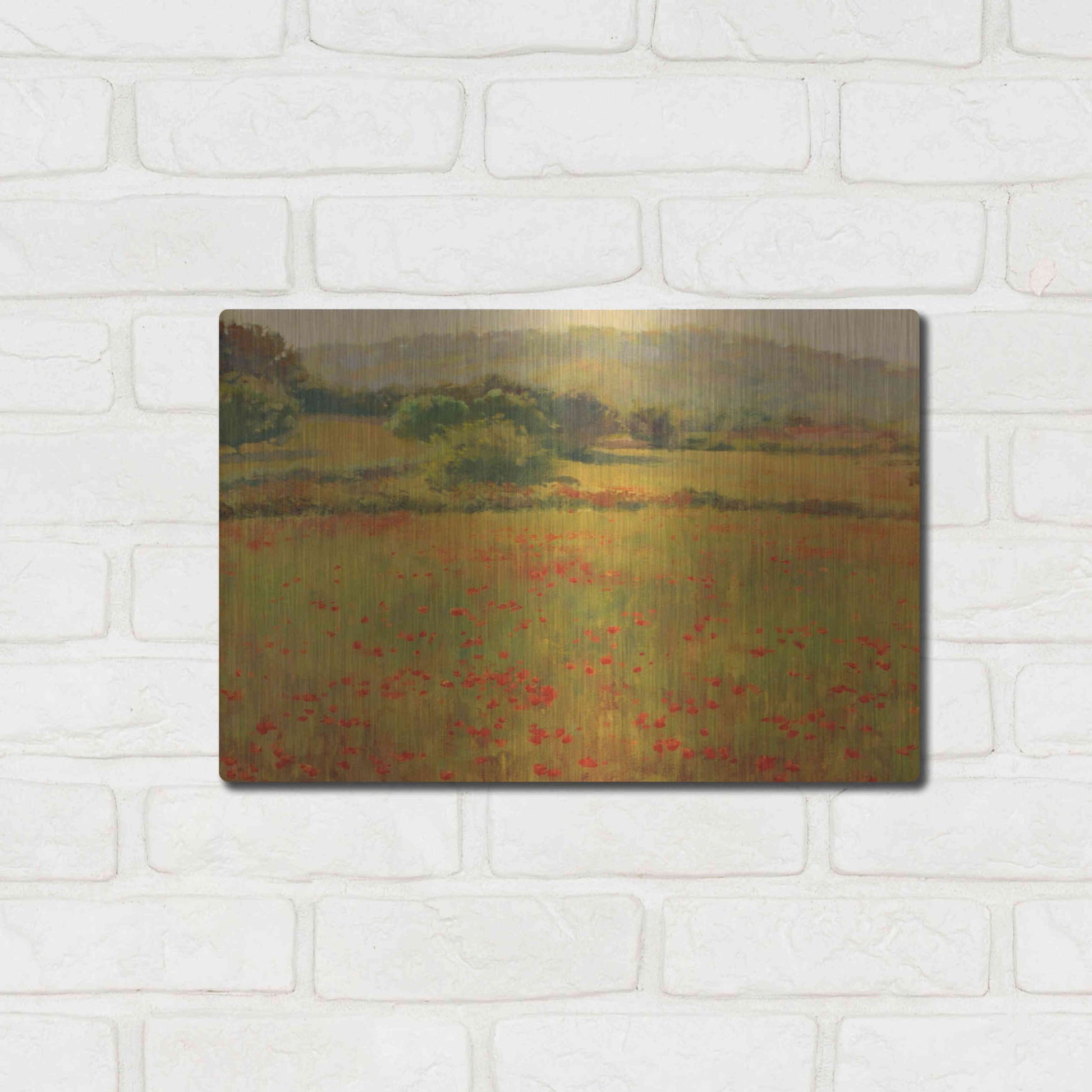 Luxe Metal Art 'Amapolas III' by Alex Hook Krioutchkov, Metal Wall Art,16x12