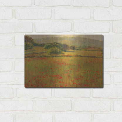 Luxe Metal Art 'Amapolas III' by Alex Hook Krioutchkov, Metal Wall Art,16x12