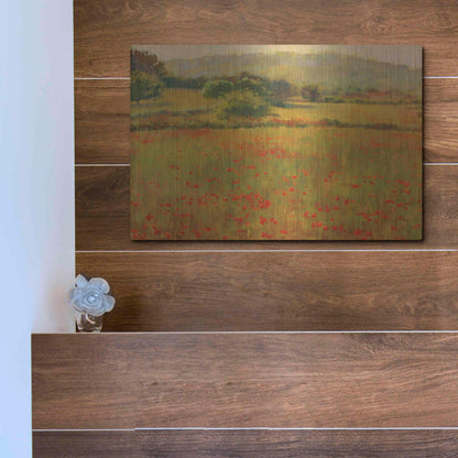 Luxe Metal Art 'Amapolas III' by Alex Hook Krioutchkov, Metal Wall Art,16x12