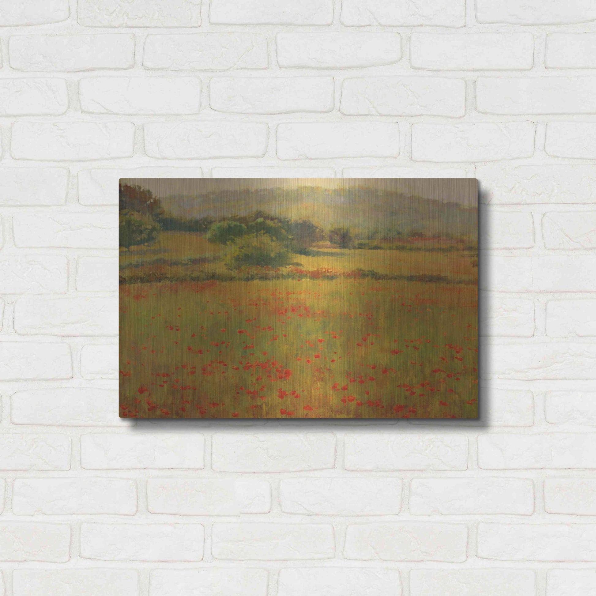 Luxe Metal Art 'Amapolas III' by Alex Hook Krioutchkov, Metal Wall Art,24x16