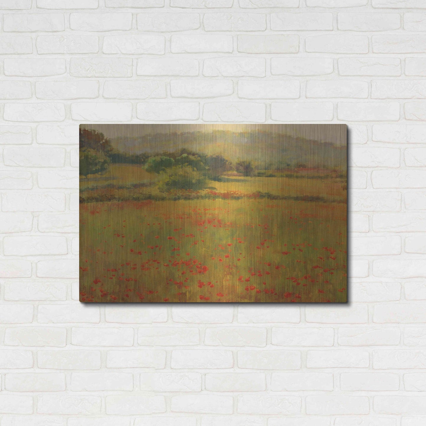 Luxe Metal Art 'Amapolas III' by Alex Hook Krioutchkov, Metal Wall Art,36x24