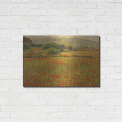 Luxe Metal Art 'Amapolas III' by Alex Hook Krioutchkov, Metal Wall Art,36x24