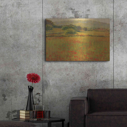 Luxe Metal Art 'Amapolas III' by Alex Hook Krioutchkov, Metal Wall Art,36x24