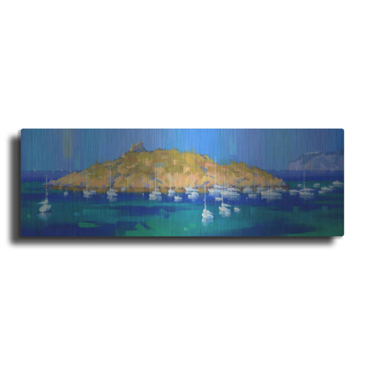 Luxe Metal Art 'Island' by Alex Hook Krioutchkov, Metal Wall Art