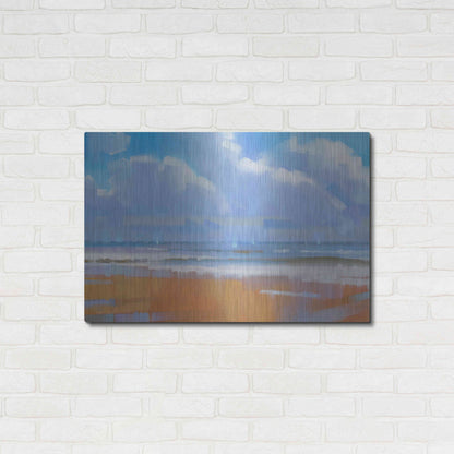 Luxe Metal Art 'Playa 15' by Alex Hook Krioutchkov, Metal Wall Art,36x24