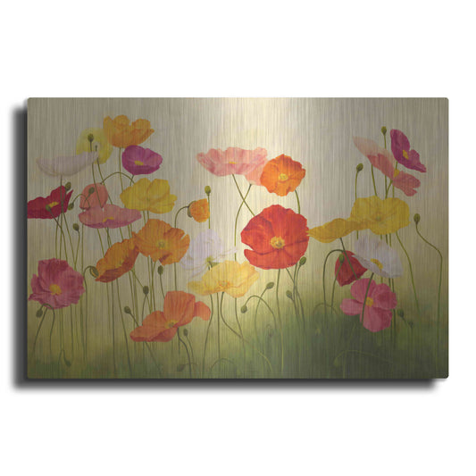 Luxe Metal Art 'Sunlit Poppies' by Janelle Kroner, Metal Wall Art