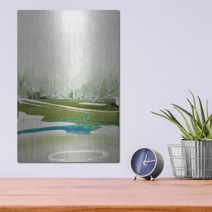 Luxe Metal Art 'Limpid' by Tara Leaver, Metal Wall Art,12x16