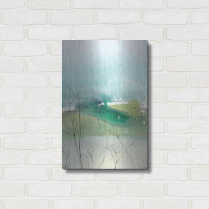 Luxe Metal Art 'See Through' by Tara Leaver, Metal Wall Art,16x24