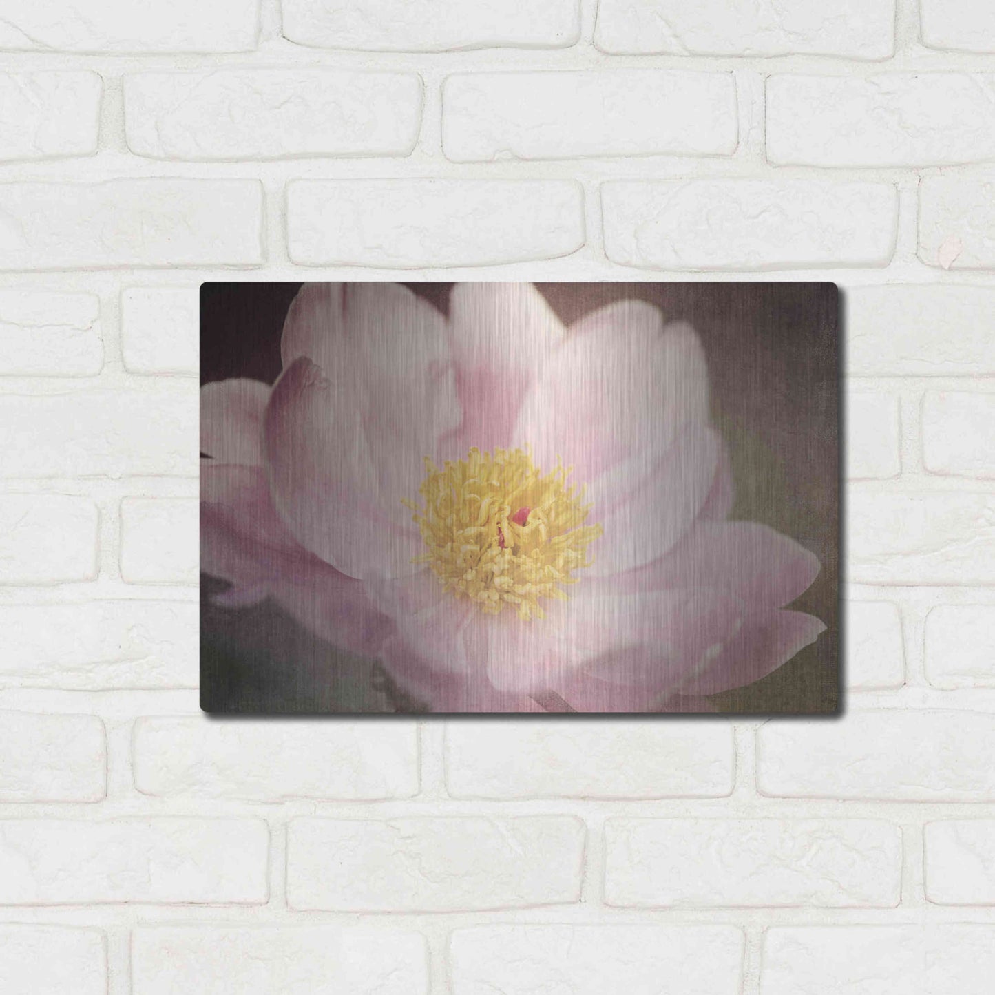 Luxe Metal Art 'Peony in the Park' by Dawn LeBlanc, Metal Wall Art,16x12