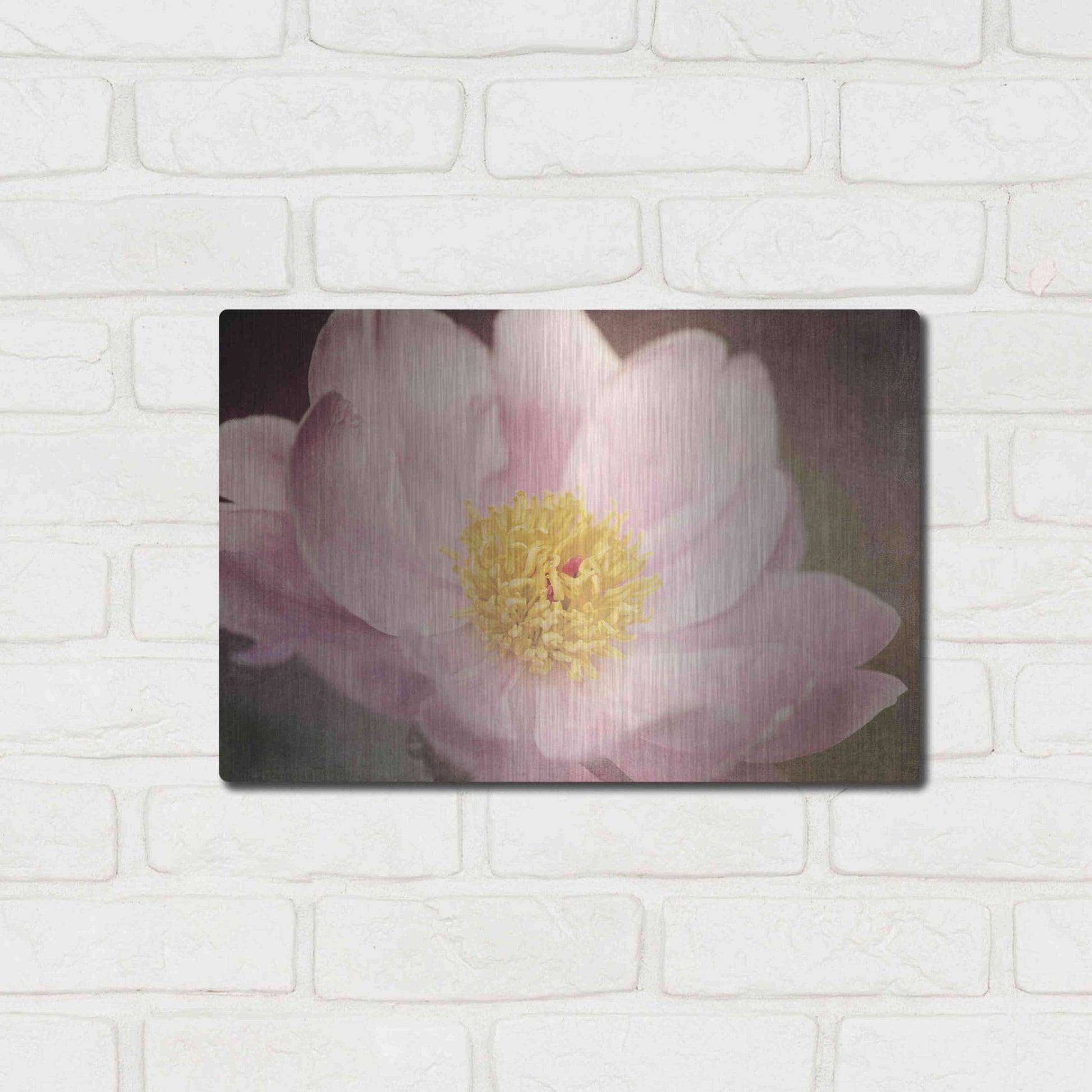 Luxe Metal Art 'Peony in the Park' by Dawn LeBlanc, Metal Wall Art,16x12