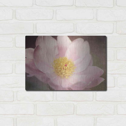Luxe Metal Art 'Peony in the Park' by Dawn LeBlanc, Metal Wall Art,16x12