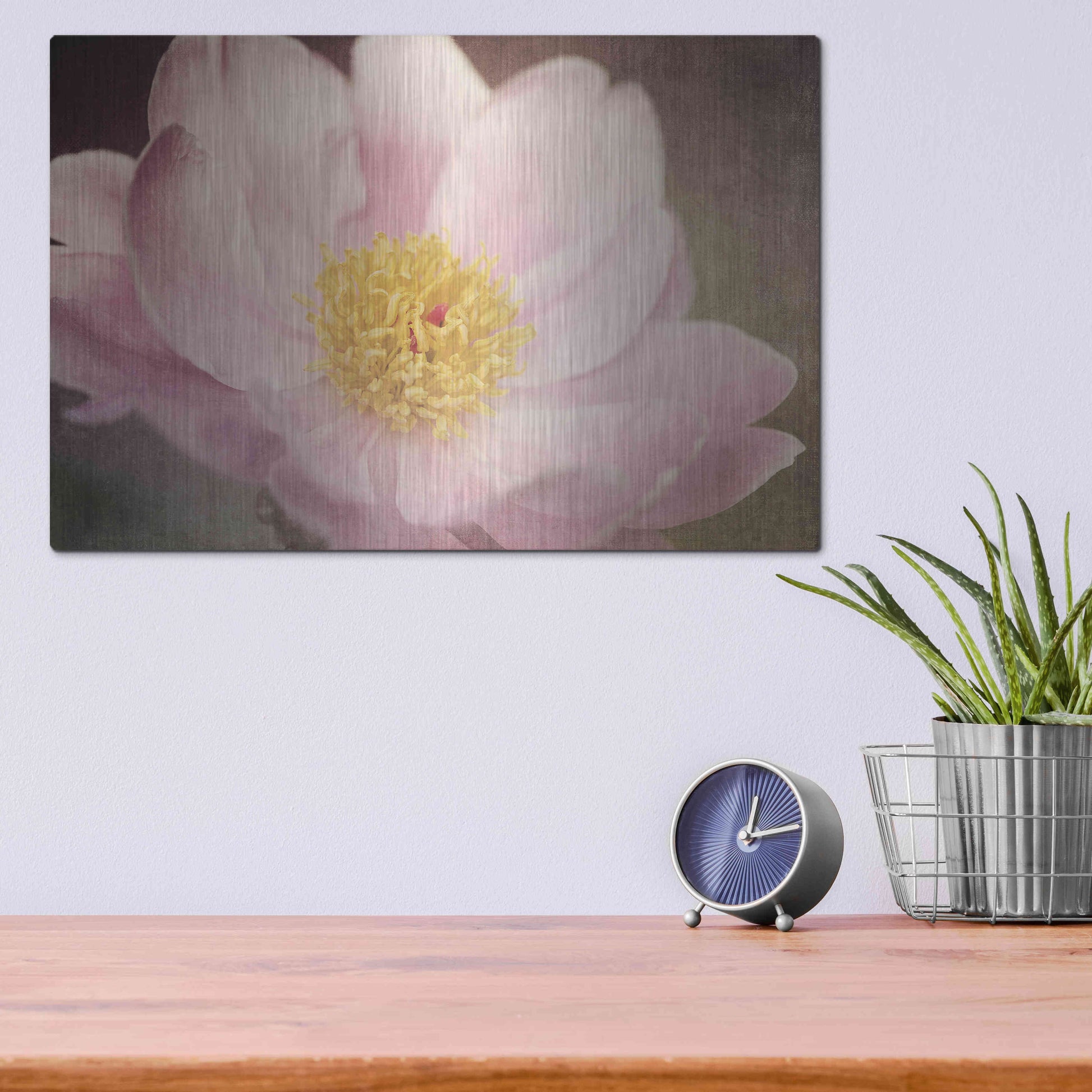 Luxe Metal Art 'Peony in the Park' by Dawn LeBlanc, Metal Wall Art,16x12