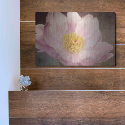 Luxe Metal Art 'Peony in the Park' by Dawn LeBlanc, Metal Wall Art,16x12