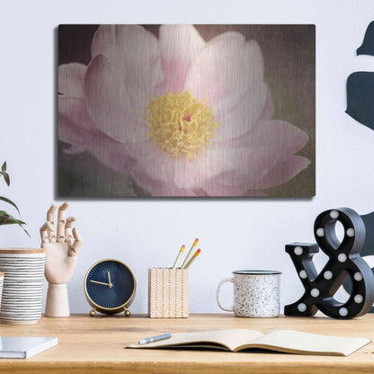 Luxe Metal Art 'Peony in the Park' by Dawn LeBlanc, Metal Wall Art,16x12