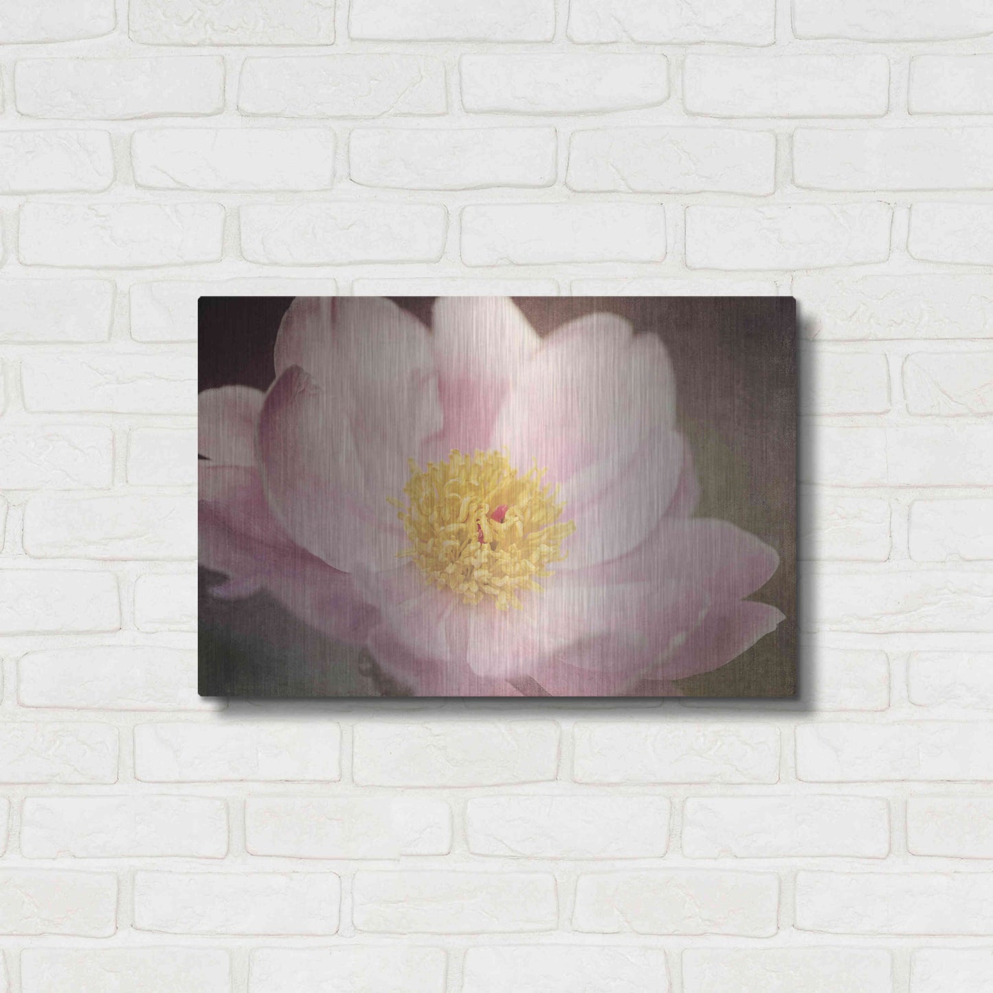 Luxe Metal Art 'Peony in the Park' by Dawn LeBlanc, Metal Wall Art,24x16