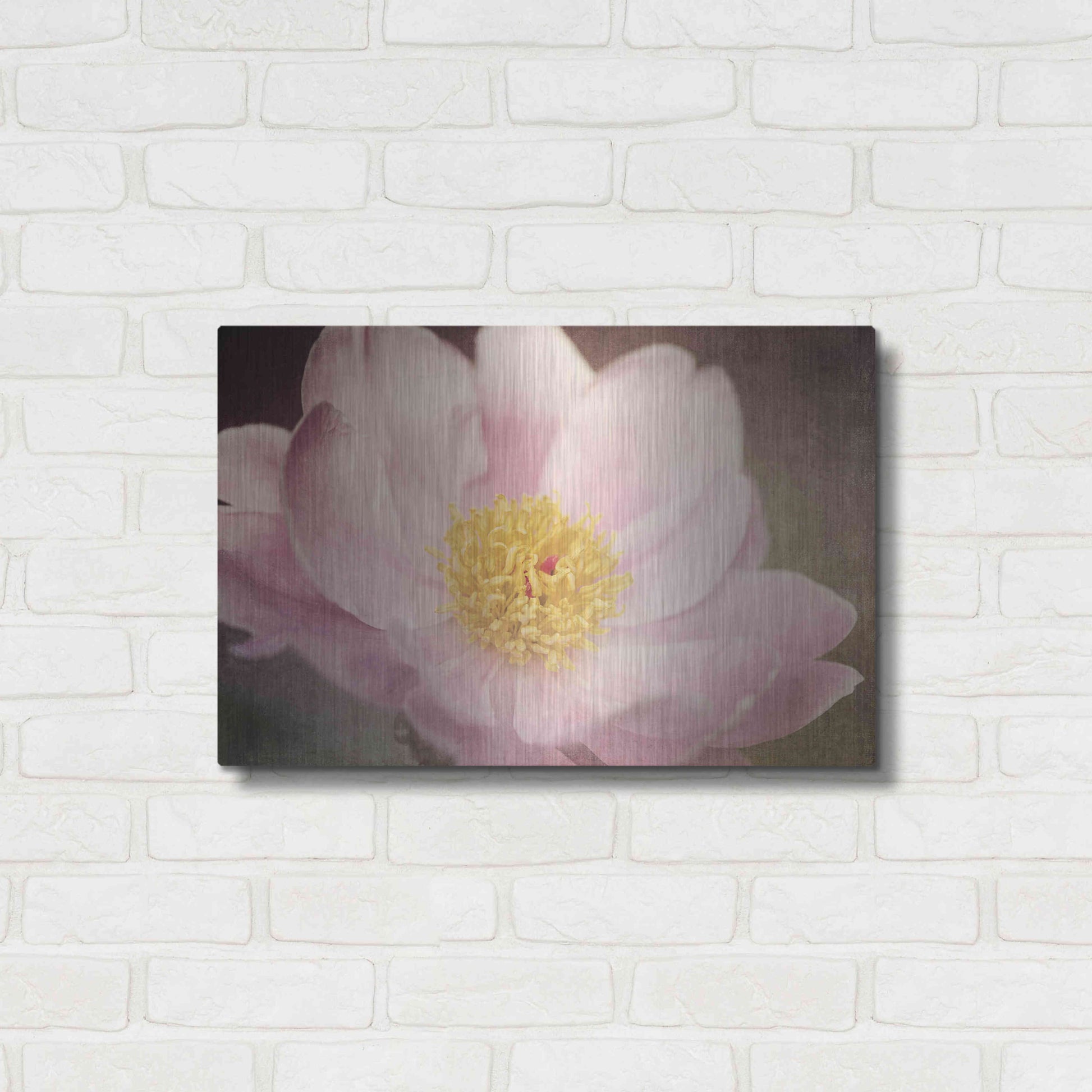 Luxe Metal Art 'Peony in the Park' by Dawn LeBlanc, Metal Wall Art,24x16