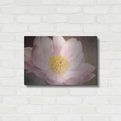 Luxe Metal Art 'Peony in the Park' by Dawn LeBlanc, Metal Wall Art,24x16