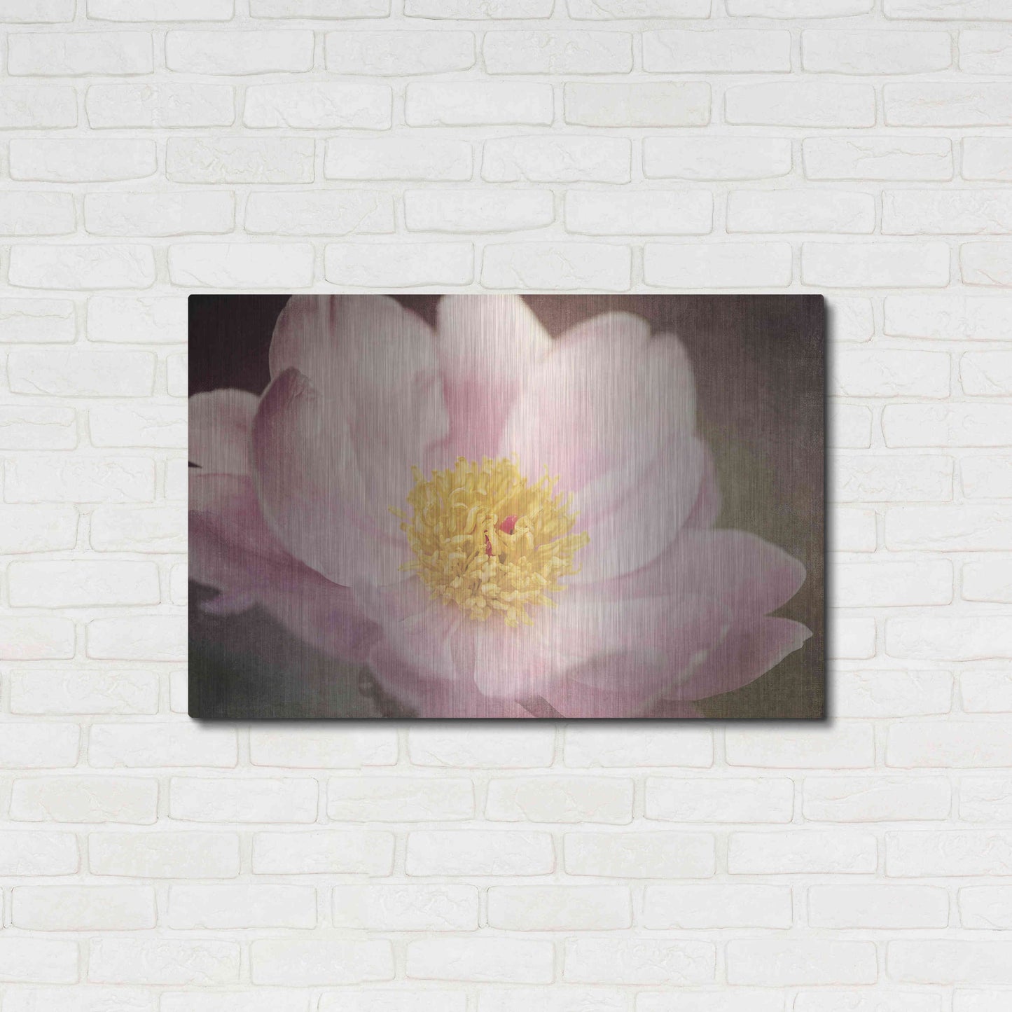 Luxe Metal Art 'Peony in the Park' by Dawn LeBlanc, Metal Wall Art,36x24