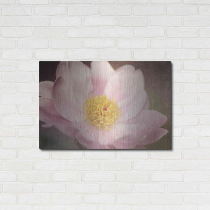 Luxe Metal Art 'Peony in the Park' by Dawn LeBlanc, Metal Wall Art,36x24