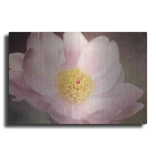 Luxe Metal Art 'Peony in the Park' by Dawn LeBlanc, Metal Wall Art