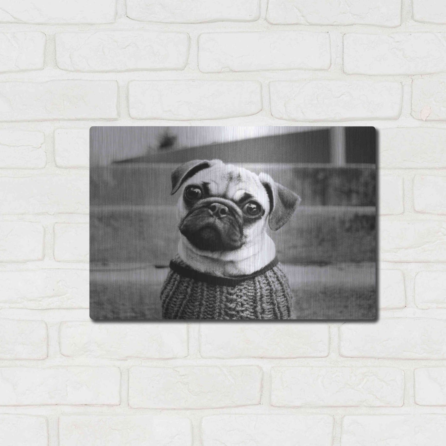 Luxe Metal Art 'Cleo' by Kim Levin, Metal Wall Art,16x12