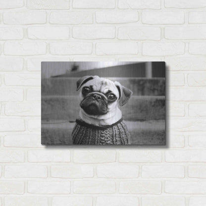 Luxe Metal Art 'Cleo' by Kim Levin, Metal Wall Art,24x16