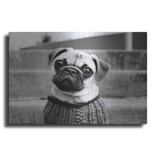 Luxe Metal Art 'Cleo' by Kim Levin, Metal Wall Art