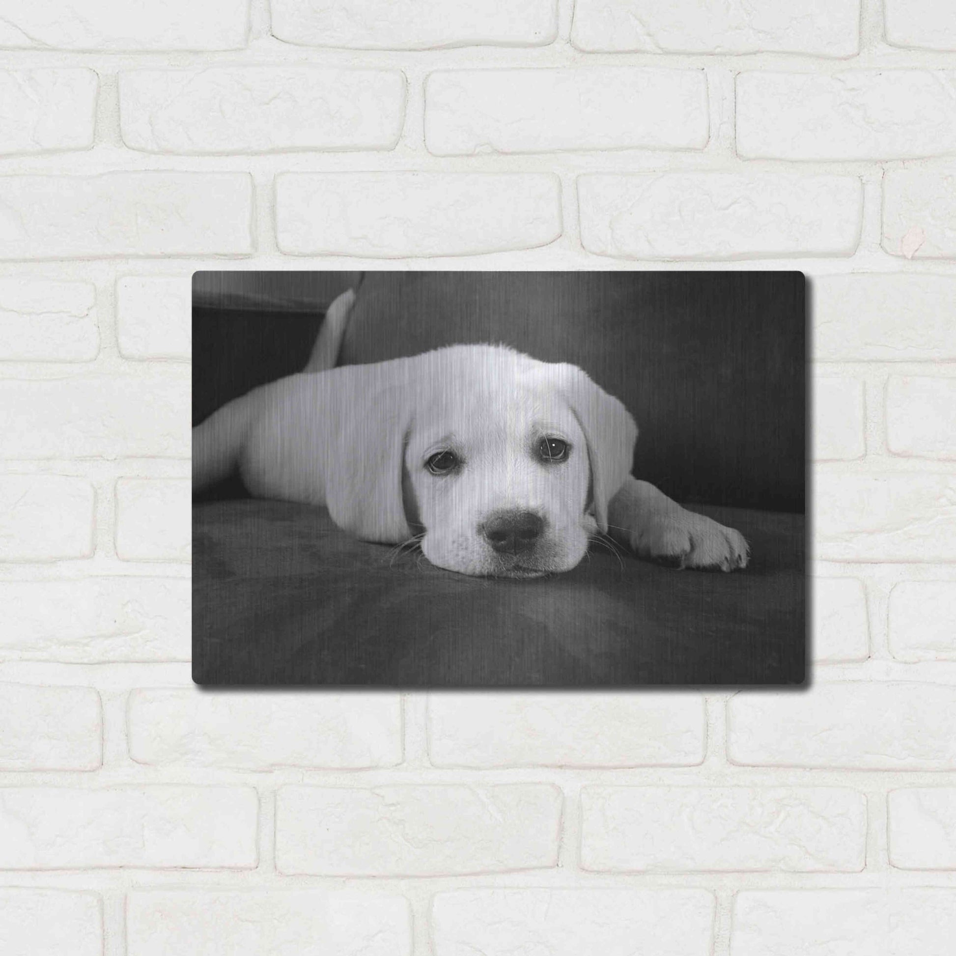 Luxe Metal Art 'Finn' by Kim Levin, Metal Wall Art,16x12