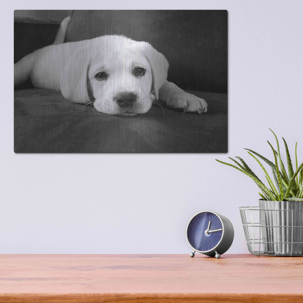 Luxe Metal Art 'Finn' by Kim Levin, Metal Wall Art,16x12