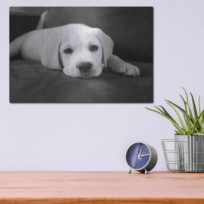 Luxe Metal Art 'Finn' by Kim Levin, Metal Wall Art,16x12