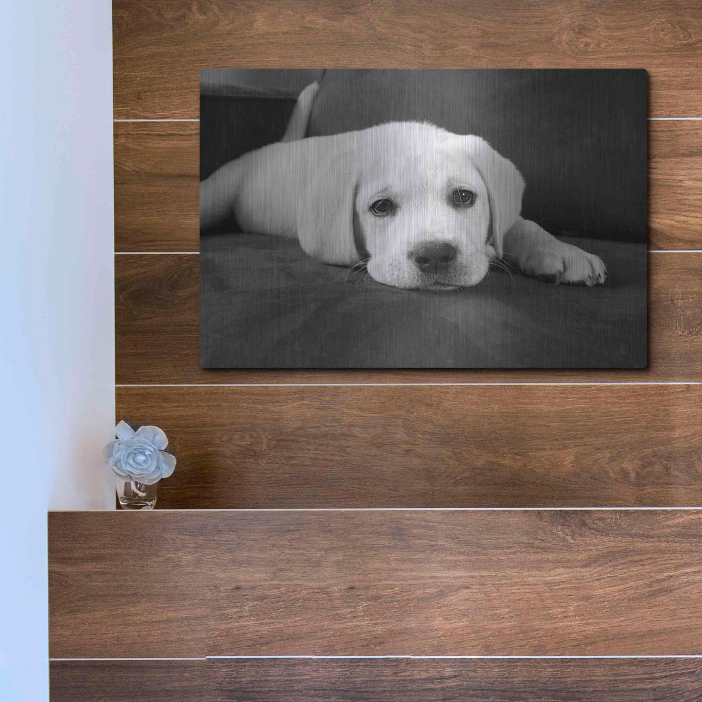 Luxe Metal Art 'Finn' by Kim Levin, Metal Wall Art,16x12