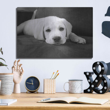 Luxe Metal Art 'Finn' by Kim Levin, Metal Wall Art,16x12