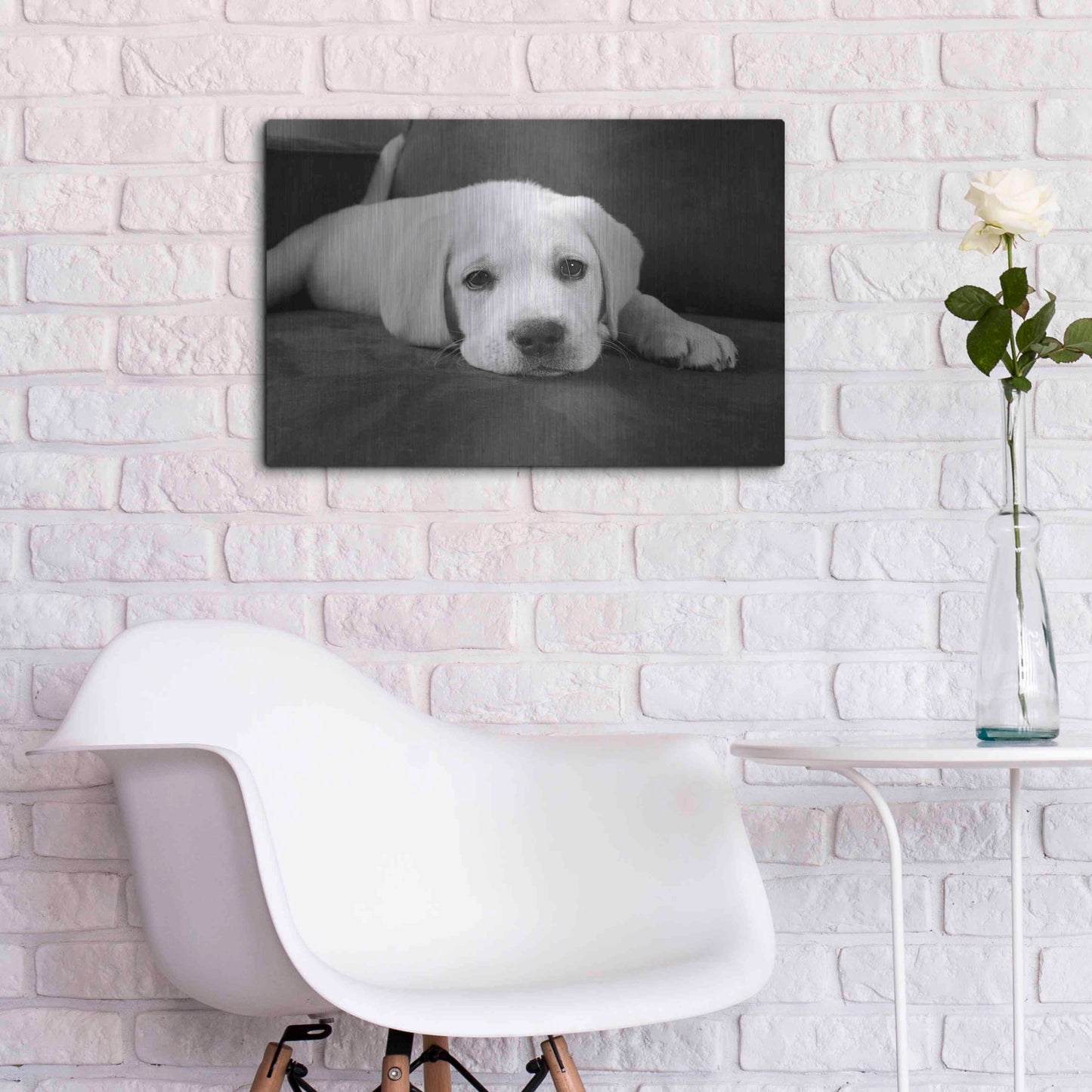 Luxe Metal Art 'Finn' by Kim Levin, Metal Wall Art,24x16