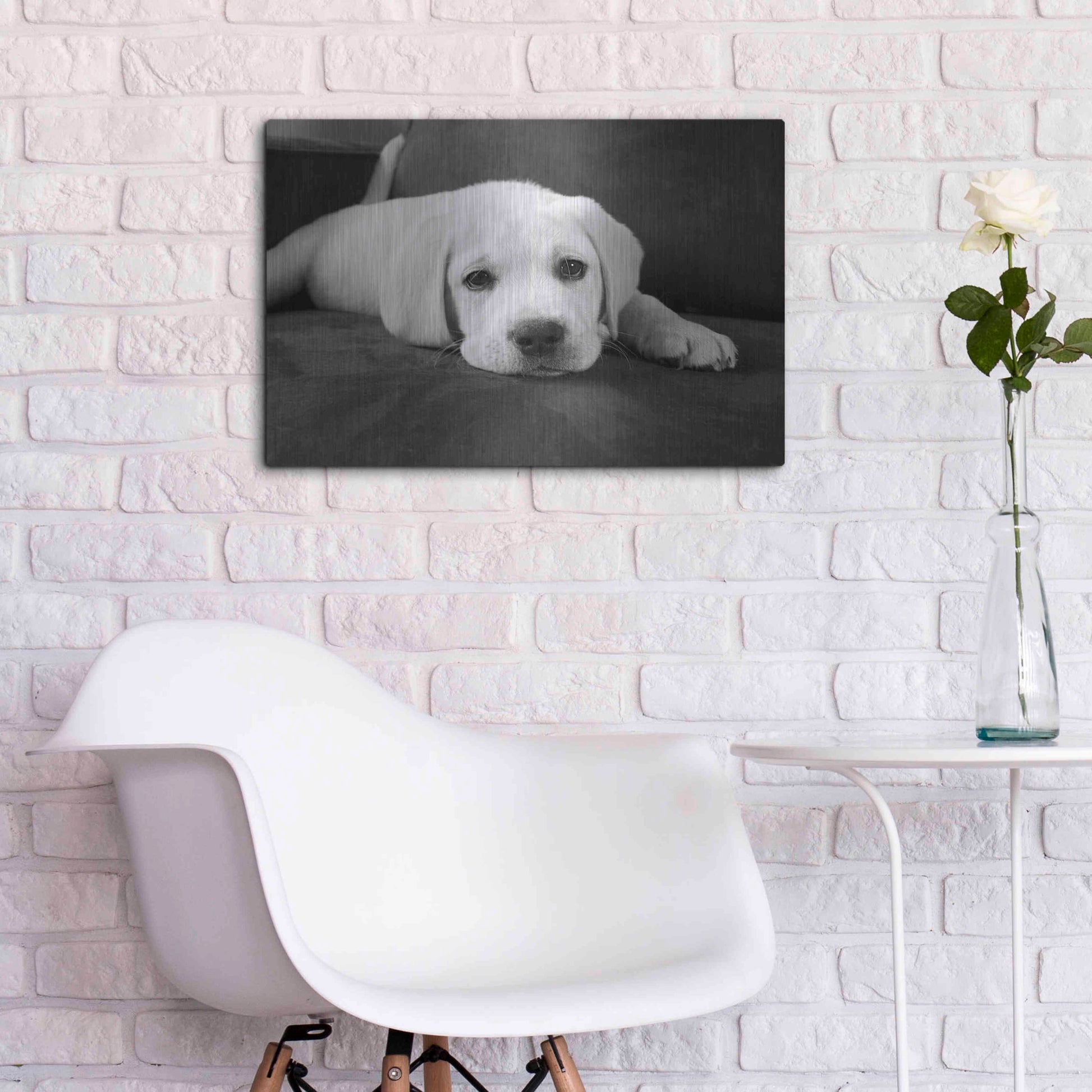 Luxe Metal Art 'Finn' by Kim Levin, Metal Wall Art,24x16