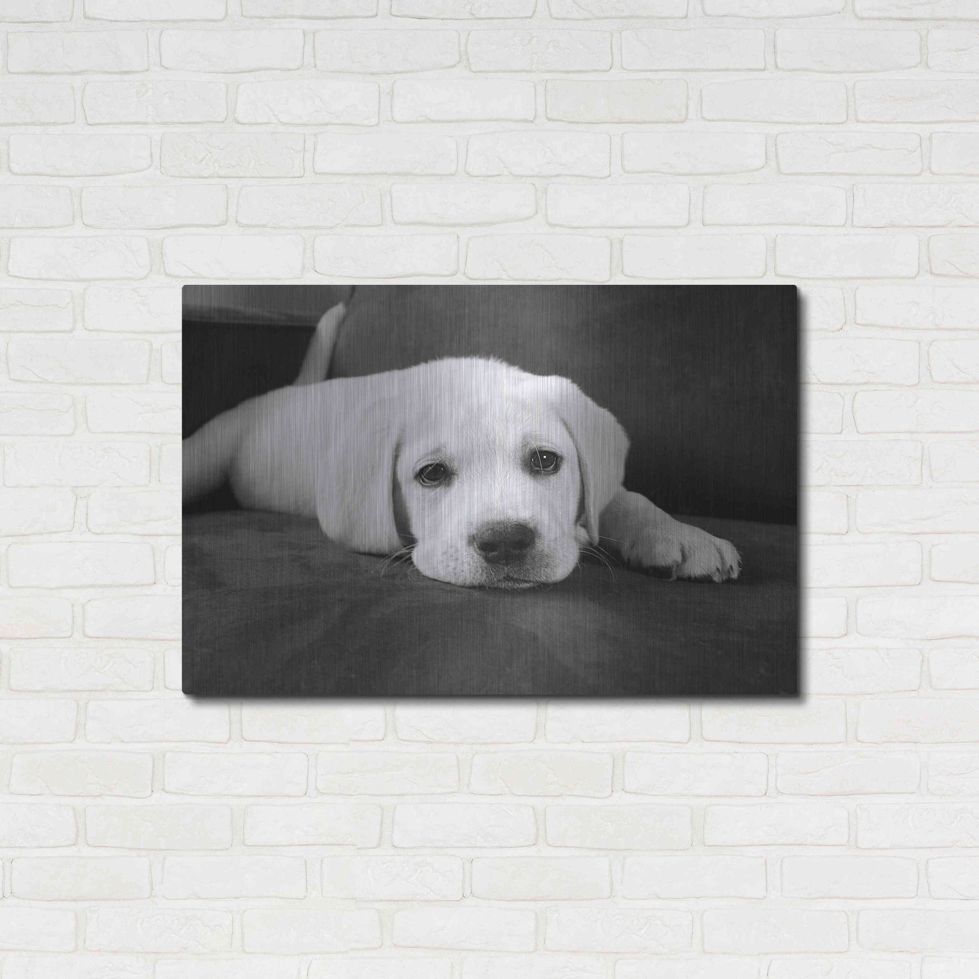 Luxe Metal Art 'Finn' by Kim Levin, Metal Wall Art,36x24