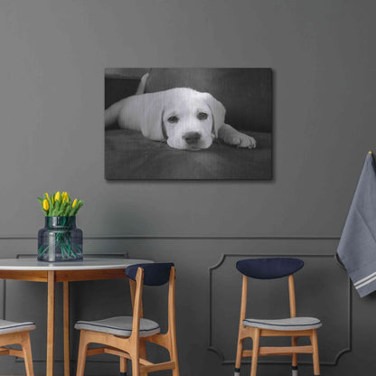 Luxe Metal Art 'Finn' by Kim Levin, Metal Wall Art,36x24