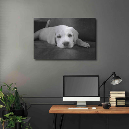 Luxe Metal Art 'Finn' by Kim Levin, Metal Wall Art,36x24