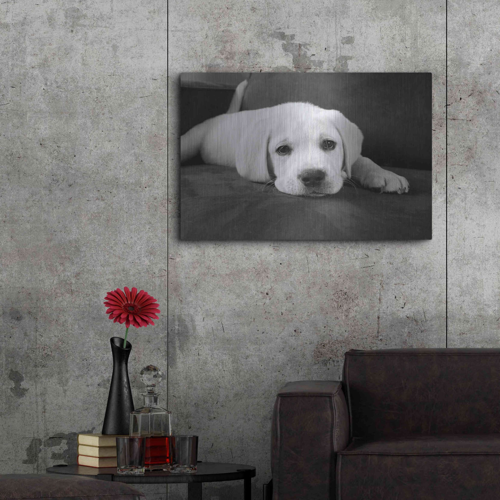 Luxe Metal Art 'Finn' by Kim Levin, Metal Wall Art,36x24