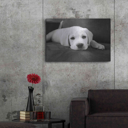 Luxe Metal Art 'Finn' by Kim Levin, Metal Wall Art,36x24