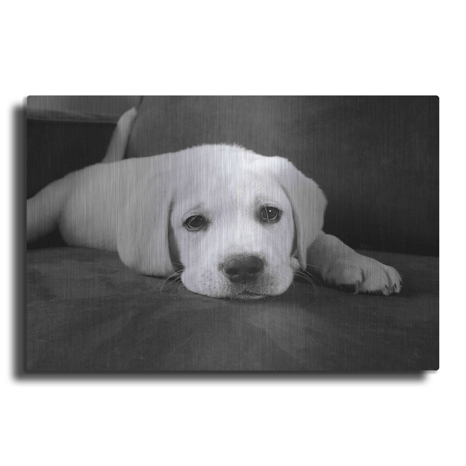 Luxe Metal Art 'Finn' by Kim Levin, Metal Wall Art