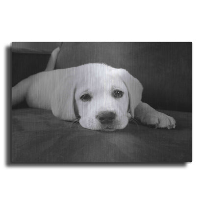 Luxe Metal Art 'Finn' by Kim Levin, Metal Wall Art