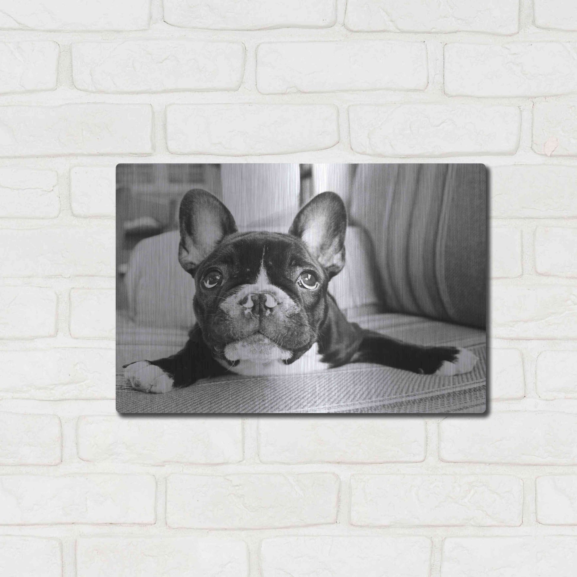 Luxe Metal Art 'Hugo' by Kim Levin, Metal Wall Art,16x12