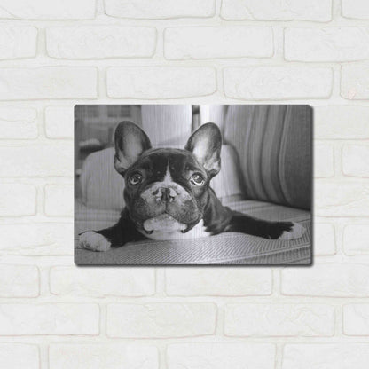 Luxe Metal Art 'Hugo' by Kim Levin, Metal Wall Art,16x12