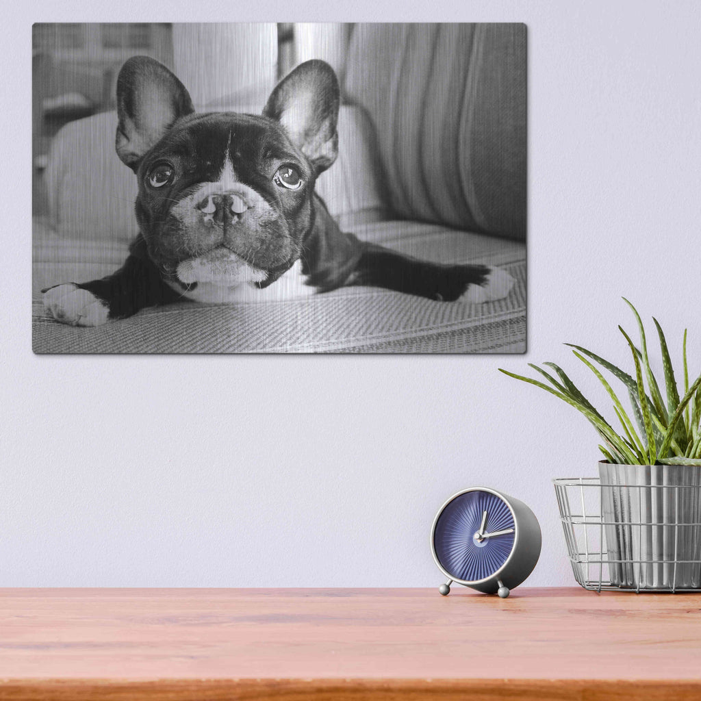 Luxe Metal Art 'Hugo' by Kim Levin, Metal Wall Art,16x12